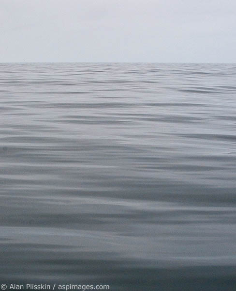 The sky and sea merged on this overcast day with only the slight ripples in the ocean differentiating it from the sky.