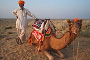 The camel and camel guide take a short break during a camel ride.