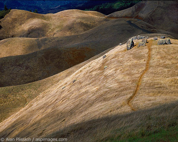 A trail across a gold-brown hillside in Summer.