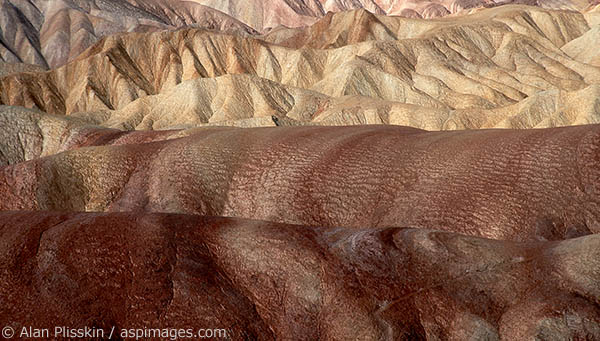 The rolling hills at Zabriskie Point in Death Valley National Park showing dramtically different erosion patterns.