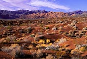 "Red" pretty much defines the landscape of this state park near Las Vegas, Nevada.