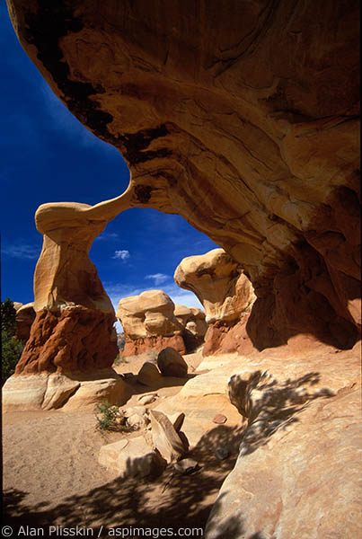 Unusual and curious sandstone formations fill the Devils Garden in the Grand Staircase - Escalante National Monument.