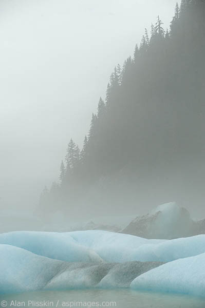 The Stikine river was socked in by fog and filled with icebergs - so much so that we could go no further. The fog kept changing, sometimes so thick we could barely see more than 10 feet in front of us. The iceberg in the foreground made a very surreal scene with the hazy ridge behind.