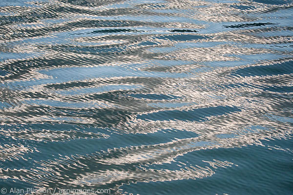 There were periods of quiet while out on Frederick Sound. I took to capturing the reflections in the water which were constantly changing.