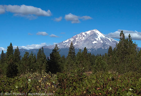 A view of Mount Shasta from its southern side.