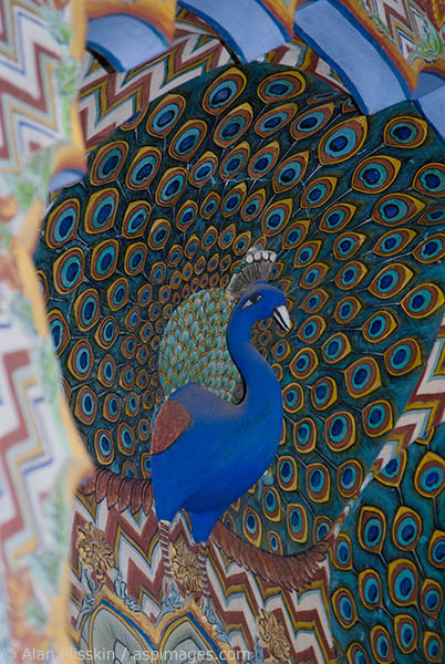 This carved wood peacock was one of many around this doorway at the Amber Fort.