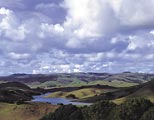 A unique perspective of the Nicasio Reservoir watershed.