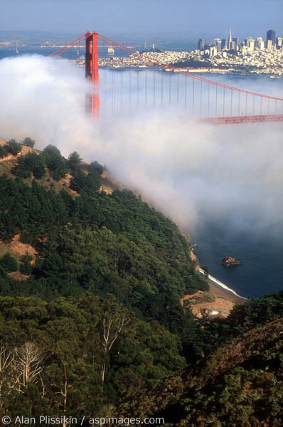 Summer is when the most fog comes rolling through the Golden Gate.