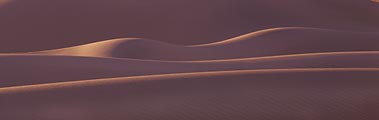 These side-lit dunes in Death Valley National Park remind me of a woman laying on her side.