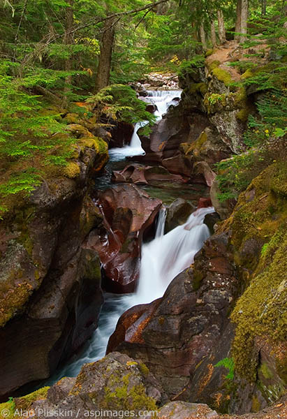 This beautiful creek in Glacier National Park was captured on an overcast day