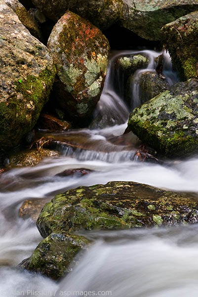 Lichen covered rocks glow along a creek in Yosemite National Park.