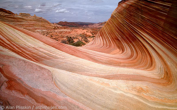 Amazing lines and colors of eroded sandstone fill the Paria Wilderness in southern Utah.