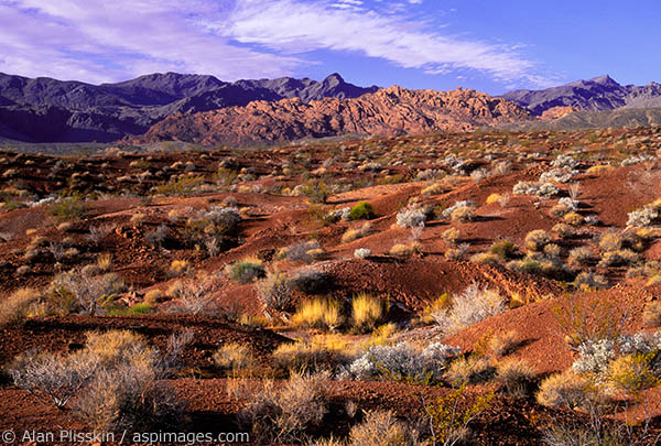 "Red" pretty much defines the landscape of this state park near Las Vegas, Nevada.